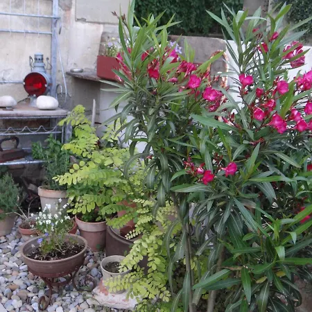 Bed & Breakfast La Grande Maison *